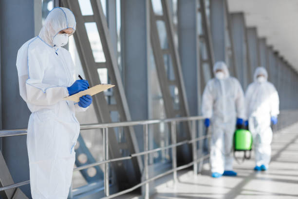 Best Real Estate Mold Inspection  in San Felipe, TX