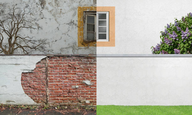 Best Mold Documentation for Insurance Claims  in San Felipe, TX